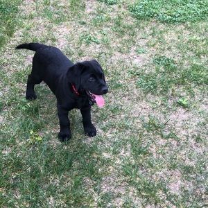 Meet your Posher, Leeann